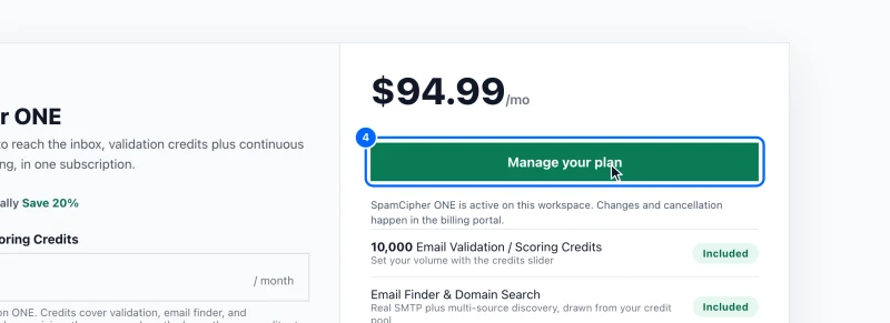 Step 4: Check out, or manage a plan you already have. On a workspace without ONE the button reads Checkout. Click it to pay: the card form opens on the page and the plan starts as soon as the payment goes through.