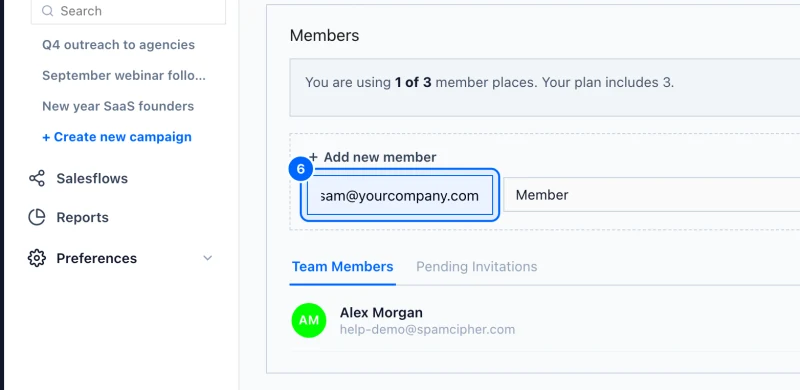 Step 6: Enter their email address. Under Add new member, type your teammate's email address.