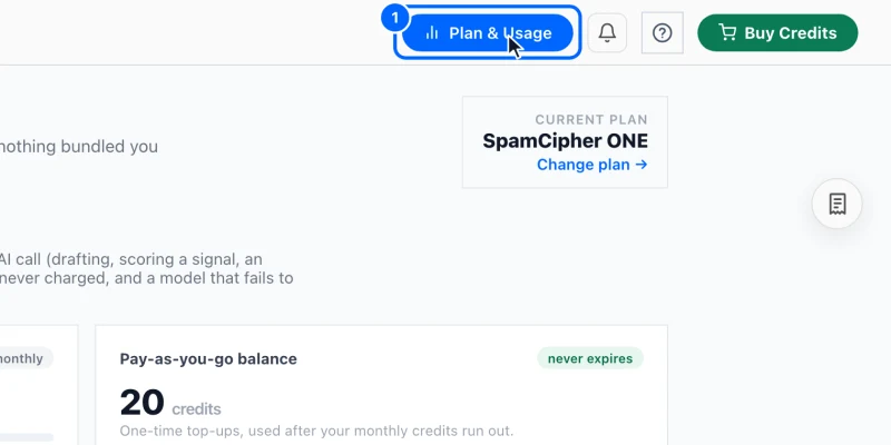 Step 1: Open Plan & Usage. Click Plan & Usage at the top right of any page.
